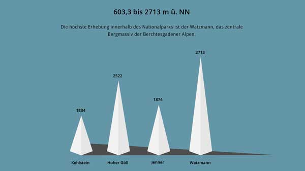 Infografik einfach erklärt